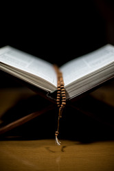 Similar image 5632088