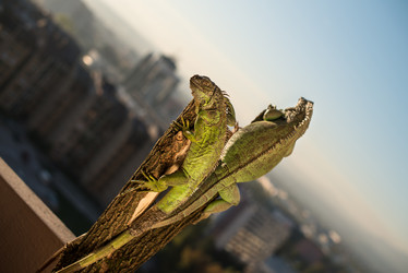 Similar image 5632089