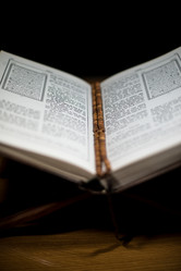 Similar image 5632090