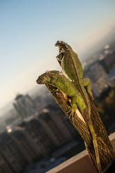 Similar image 5632094