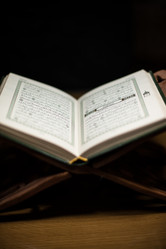 Similar image 5632110