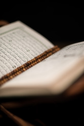 Similar image 5632123