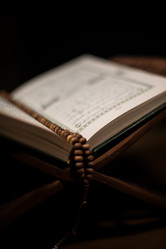 Similar image 5632127