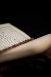 Similar image 5632136