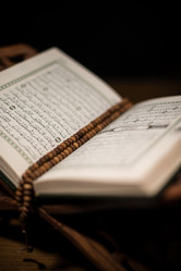 Similar image 5632137