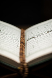 Similar image 5632141