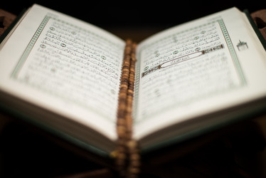 Similar image 5632143