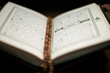 Similar image 5632144