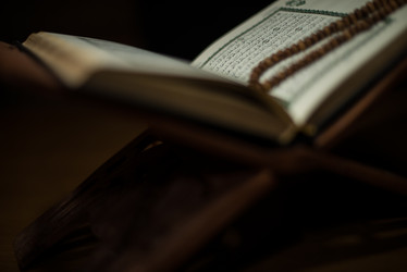 Similar image 5632155