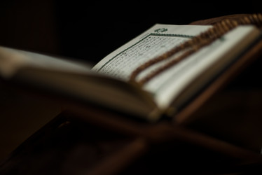 Similar image 5632158