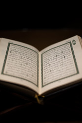 Similar image 5632159