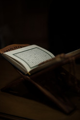 Similar image 5632160