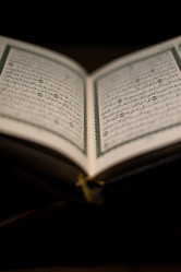 Similar image 5632161