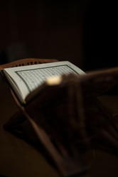 Similar image 5632162