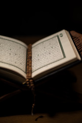 Similar image 5632163