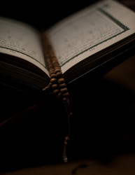 Similar image 5632165