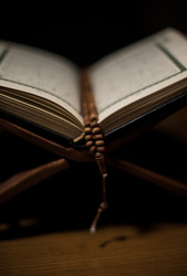 Similar image 5632169