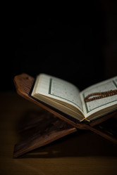 Similar image 5632175