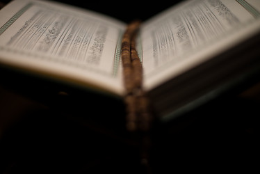 Similar image 5632182