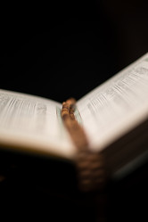 Similar image 5632183