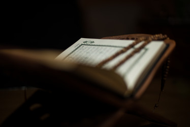 Similar image 5632187