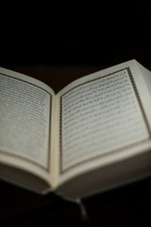 Similar image 5632190