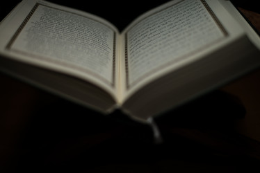 Similar image 5632191