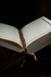 Similar image 5632193