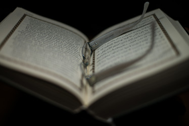 Similar image 5632195