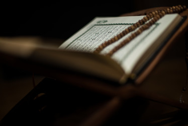 Similar image 5632198