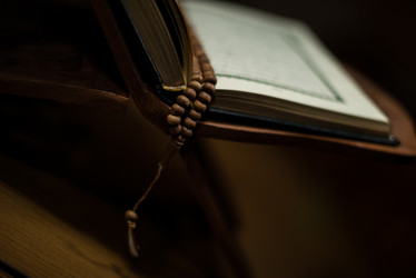 Similar image 5632211