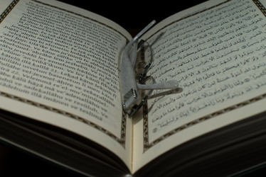 Similar image 5632219