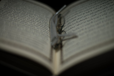 Similar image 5632222