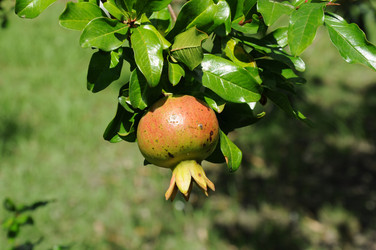 Similar image 5632605