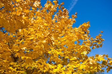 Similar image 5632912