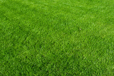 Similar image 5632929