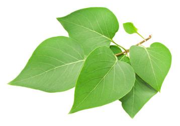 Similar image 5632932