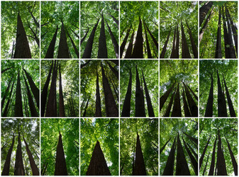 Similar image 5632934