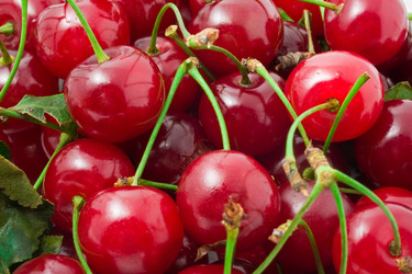 Similar image 5632971