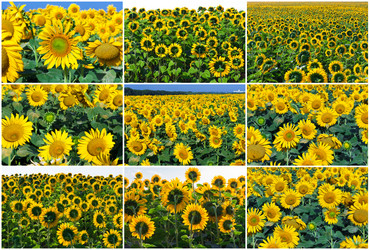 Similar image 5632990