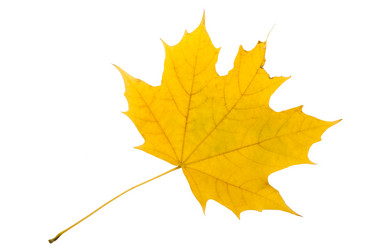 Similar image 5633002