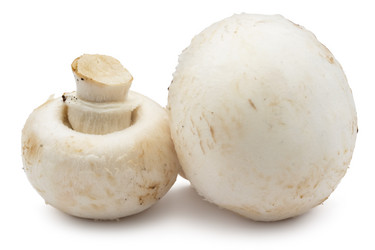 Similar image 5633023