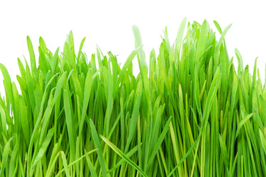 Similar image 5633028