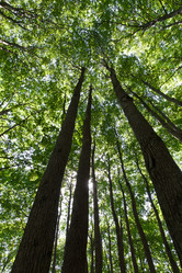 Similar image 5633034