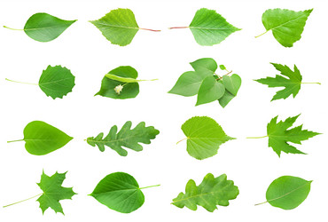 Similar image 5633038