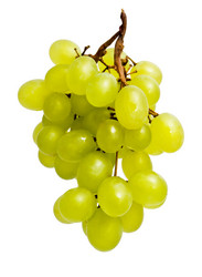 Similar image 5633041