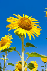 Similar image 5633046