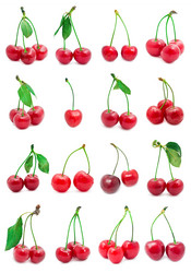 Similar image 5633054