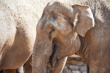 Similar image 5633062