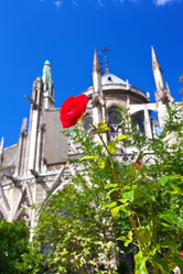 Similar image 5633078